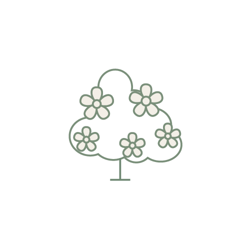 step4