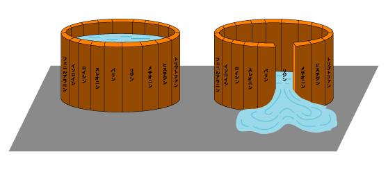 「アミノ酸の桶」理論