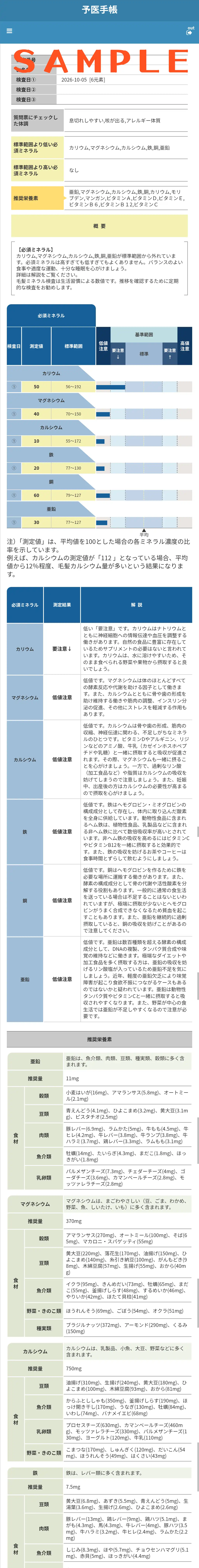 結果表のサンプル画面