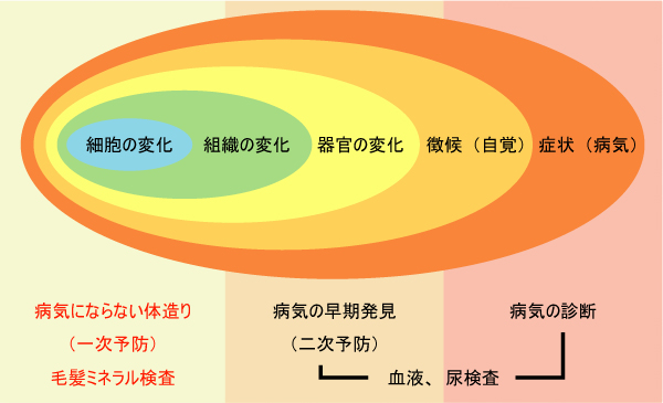 2021年製 毛髪ミネラル検査 必須ミネラル12元素 有害金属5元素 準有害金属3元素 参考ミネラル3元素 その他の金属6元素 