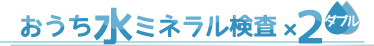 おうち水ミネラル検査×２ダブル