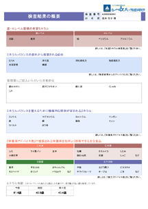 検査結果の概要