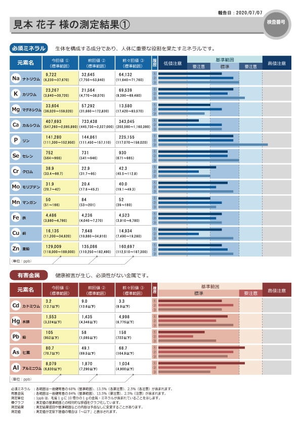 2021年製 毛髪ミネラル検査 必須ミネラル12元素 有害金属5元素 準有害金属3元素 参考ミネラル3元素 その他の金属6元素 