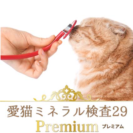 猫ミネラル検査プレミアム