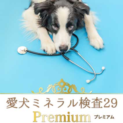 愛犬ミネラル検査プレミアム