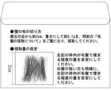 毛髪採取量の目安