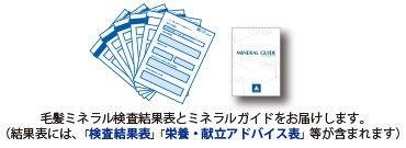 検査結果表