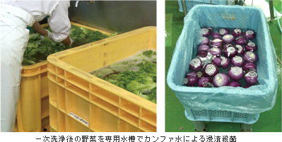 一次洗浄後の野菜を専用水槽にて浸漬殺菌