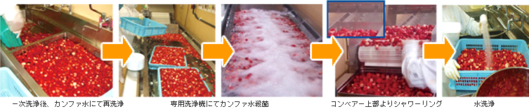 イチゴの殺菌工程