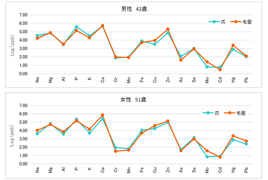 毛髪と爪の比較表