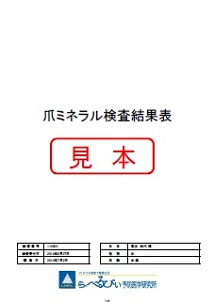 爪ミネラル検査結果表