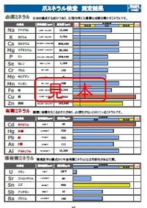 測定結果