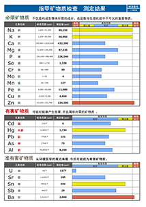 检测结果