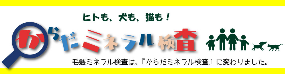 からだミネラル検査