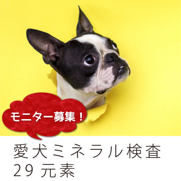 a40_DM29m