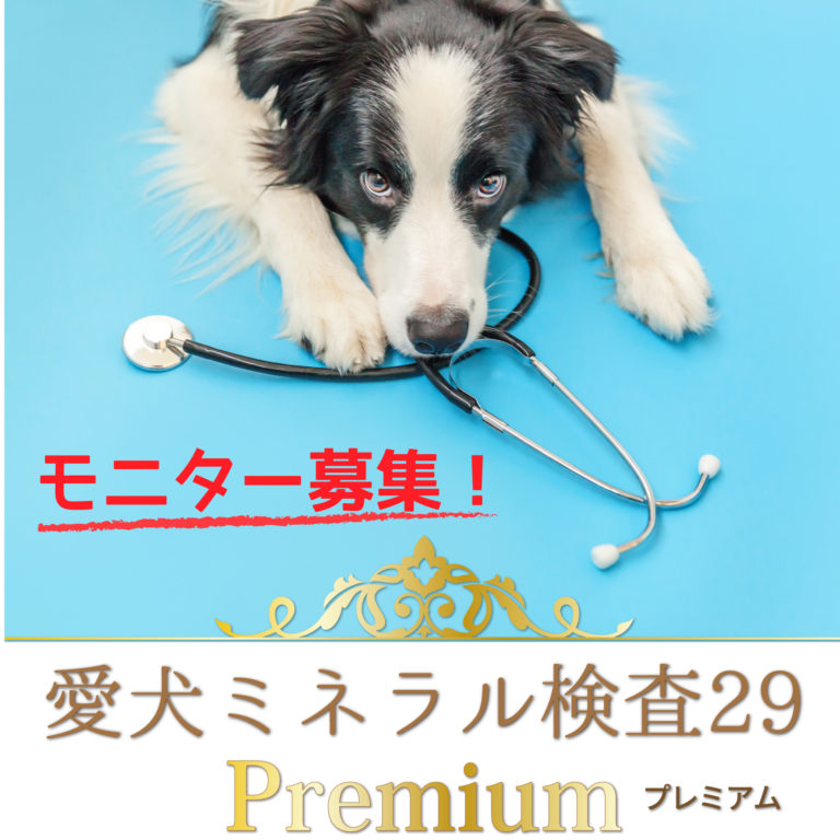 a50_DMP29m