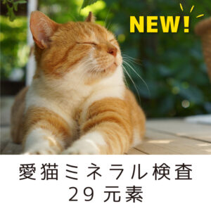 a41_CM29