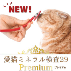 a51_CMP29