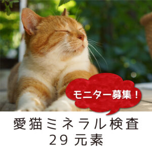 a41_CM29m
