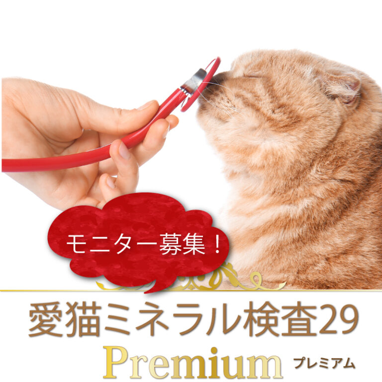 a51_CMP29m