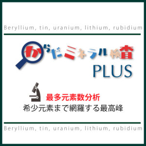 BMplus