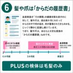 BMplus2