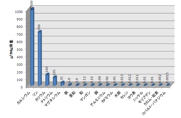 人体中のミネラル含有量